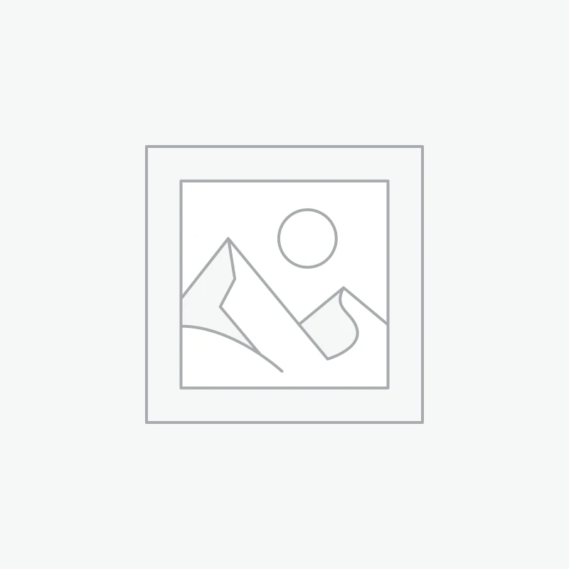Não bộ, Thần kinh & Giấc ngủ