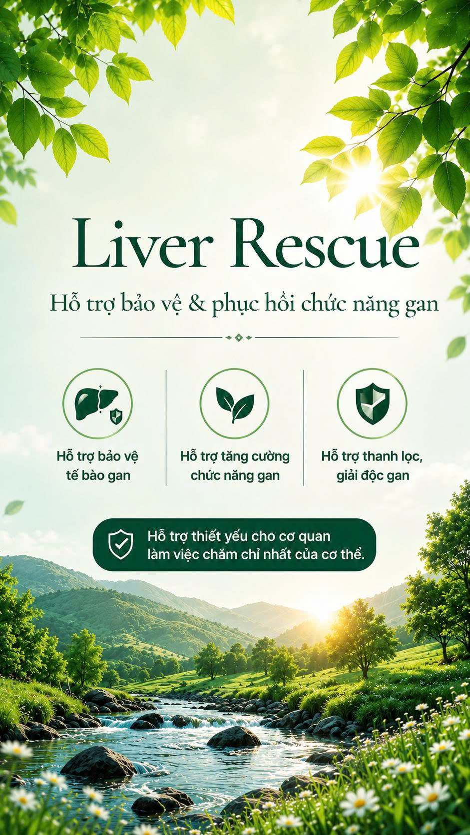 Liver Rescue